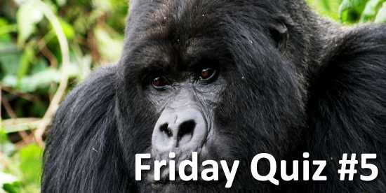 Friday Quiz #5 - Canadian Divas and Asteroids
