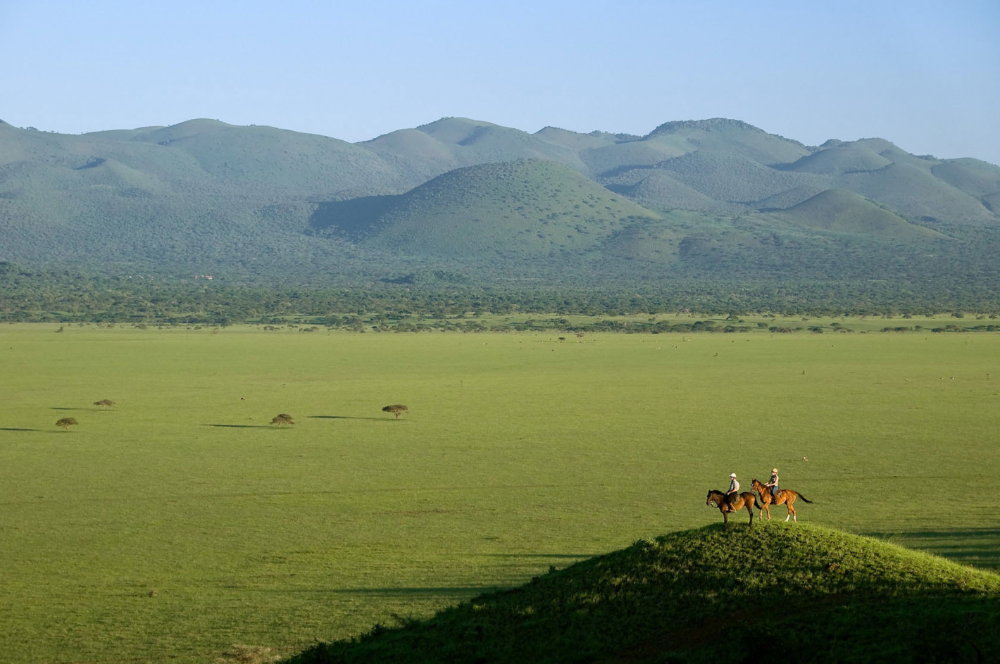 Kenya-Great-Migration-Horse-Tourjpg