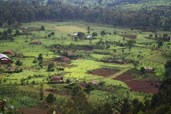 The fertile valleys of Rwanda