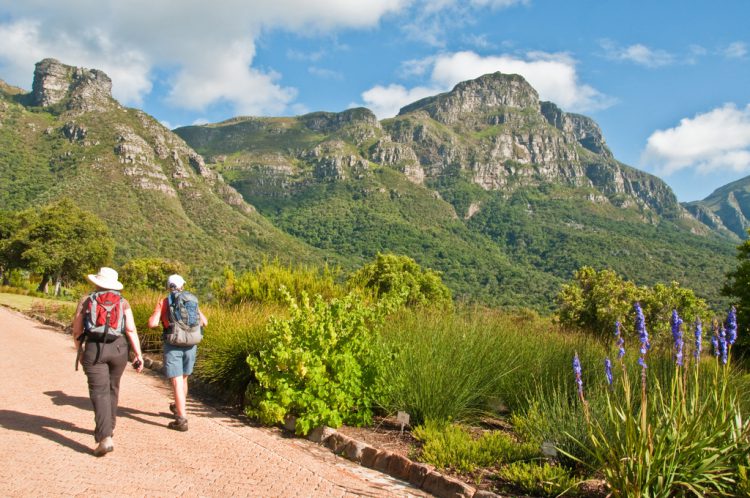 Wandern in den Kirstenbosch Botanical Gardens