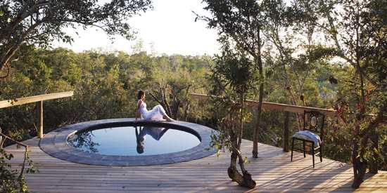 Londolozi Pioneer Camp