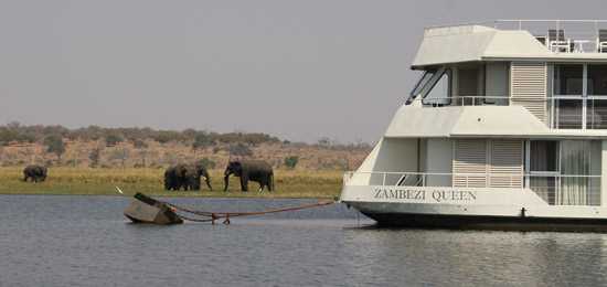 Johannesburg, Victoria Falls, Chobe - Part II