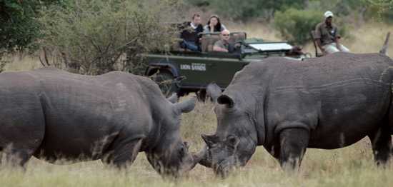 The Bachelor visits Lion Sands Private Game Reserve and goes on a game drive