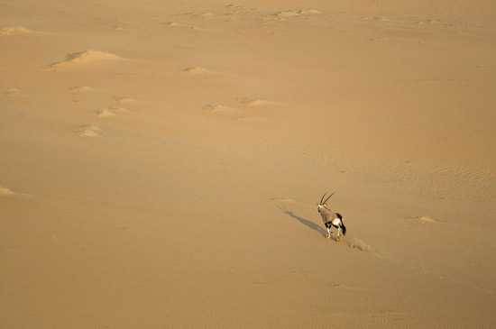 World Water Day - Namibia