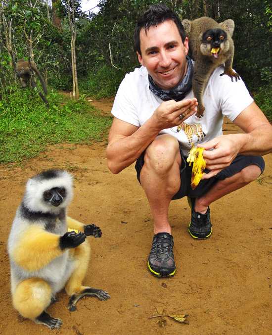 Andisabe and lemurs