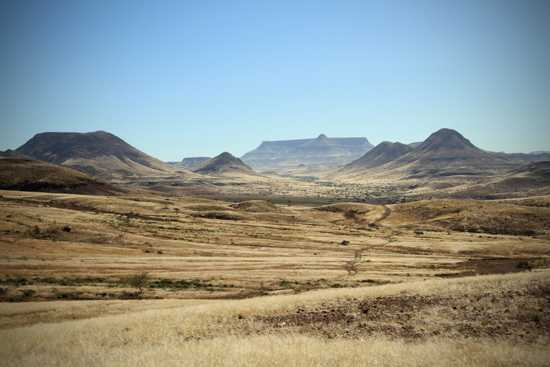 This region of Namibia is beautiful with its own specially adapted wildlife