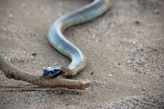 Namibia's Damaraland - watch your step!