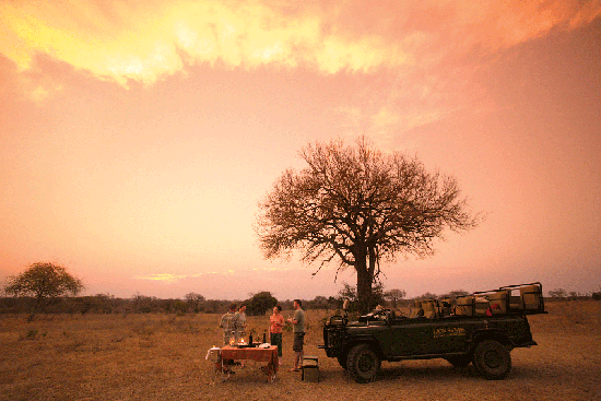 The African bush has some of the most romantic sunsets