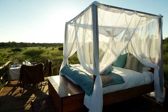 Chalkley Treehouse is a beautiful remote venue to view scenery from