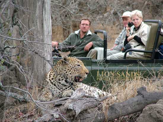 Go on game viewing safaris and see the Big Five