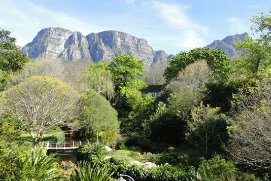 See Table Mountain from the gardens