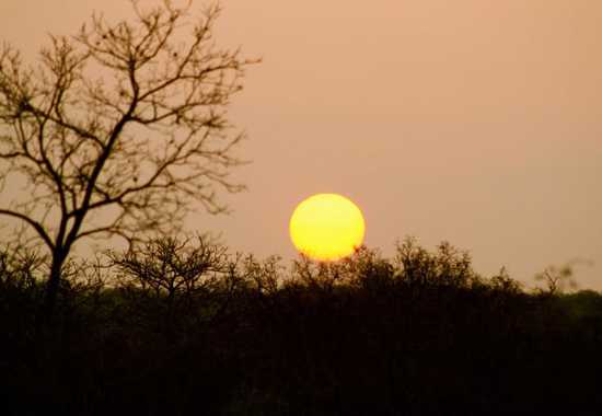 Catch the sun set over Royal Malewane