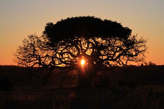 African sunset over the Garden Route