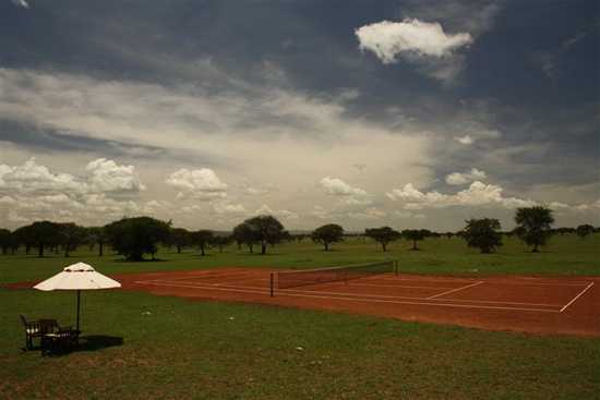 Play tennis in the wild