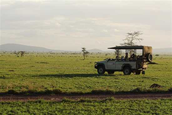 Serengeti Plains, Tanzania