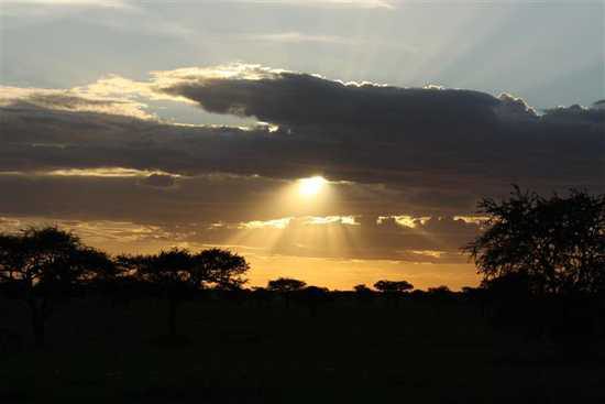 African Sunrise