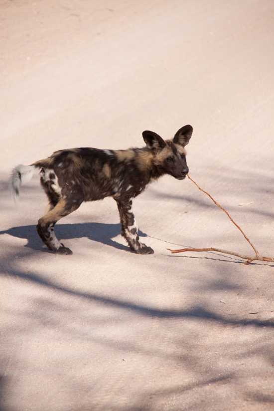 "This is my stick and I'm keepin' it"