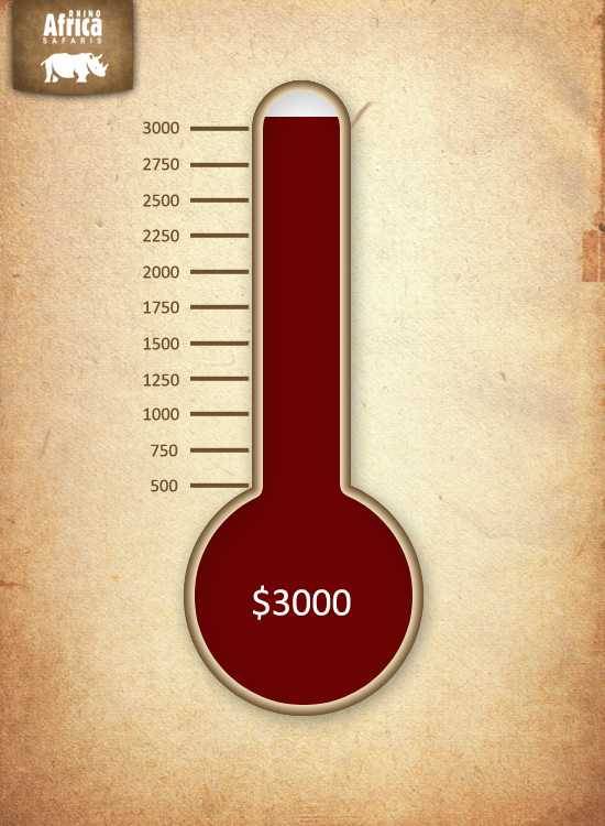 Charity Thermometer