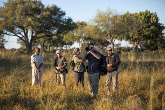 Group on bush walk with safari guide