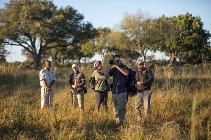 ¿Listo para tu próximo safari fotográfico?