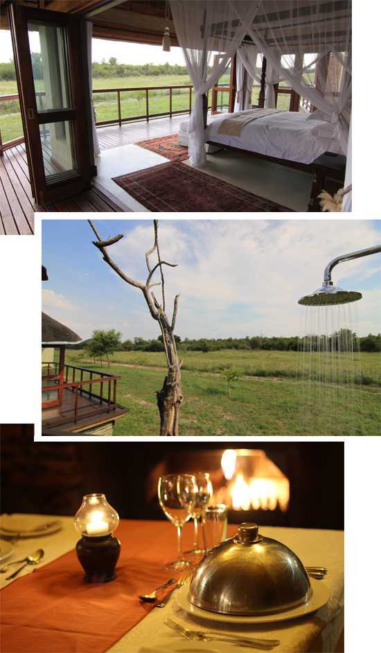 Accommodation at Madikwe