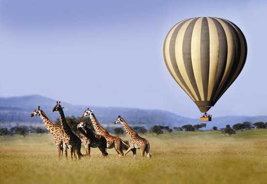 Go hot air ballooning with Singita in the Serengeti