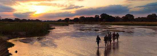 Safari a pie en el Parque Nacional South Luangwa