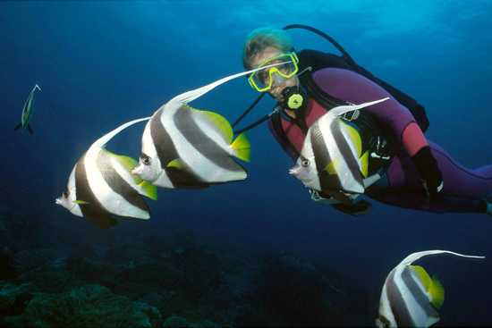 The Indian Ocean is known for exceptional scuba diving.