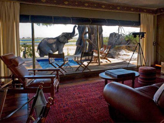 With its proximity and exclusive access to the Zibadianja Lagoon, Zara Camp is one of the best places to stay in Southern Africa 