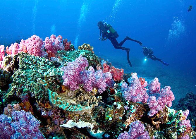 The view of coral reefs from the Seven Mile Reef, Sodwana Bay