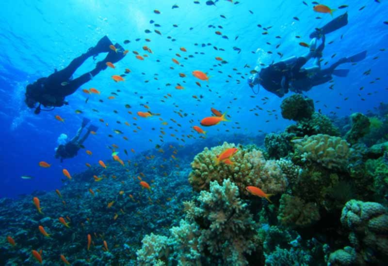 Diving among reefs at Sodwana Bay, South Africa