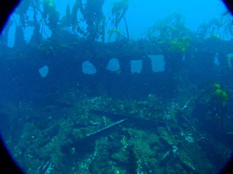 The Maori wreck dive.