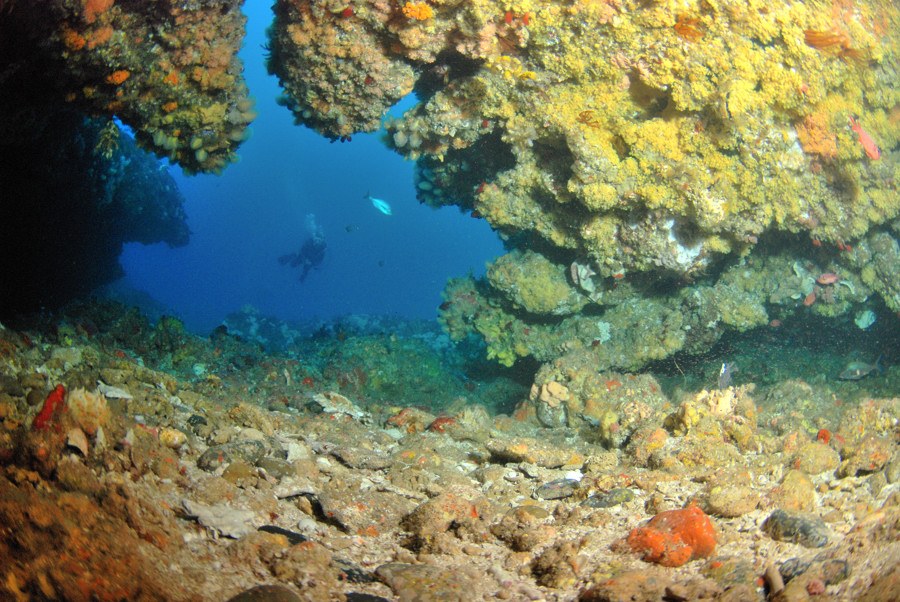 The reefs at Protea Banks, KwaZulu-Natal