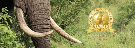 Africa's Leading Safari Company