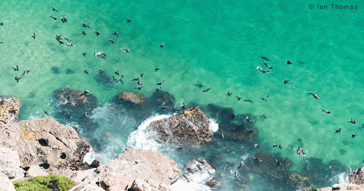 Robberg Naturreservat in Plettenberg Bay