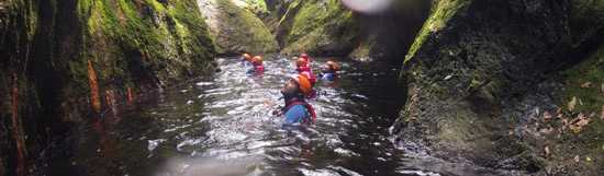 Swimming in the canyon