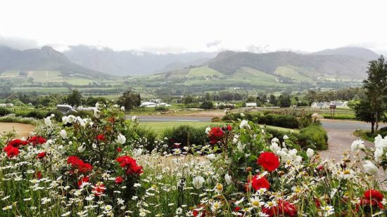 "Despite the weather, or maybe because of it, the scenery was stunning. Silver clouds, backlit by the sun, illuminated the patchwork valley and mountains in the background, while the foreground was a delicate riot of flowers in red, white and green, the colors vibrant against the contrasting sky."