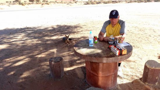 "Returning to our vehicle at the Deadvlei parking lot we decided it was snack time so out came the peanut butter and crackers where we sat at a cement table and stools. All of a sudden we noticed 2 black backed jackals approach us but not coming too close, just laying on the ground beside us waiting for whatever food we had to offer them."