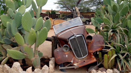 "One day we drove to the little town of Solitaire which reminded us of an Arizona USA desert town with old vehicles and cactus on the highlights."