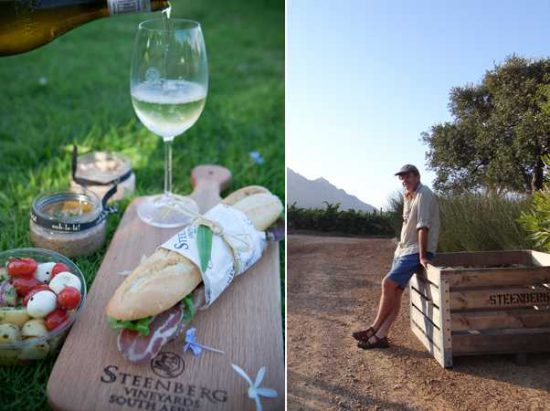 Steenberg Vineyards