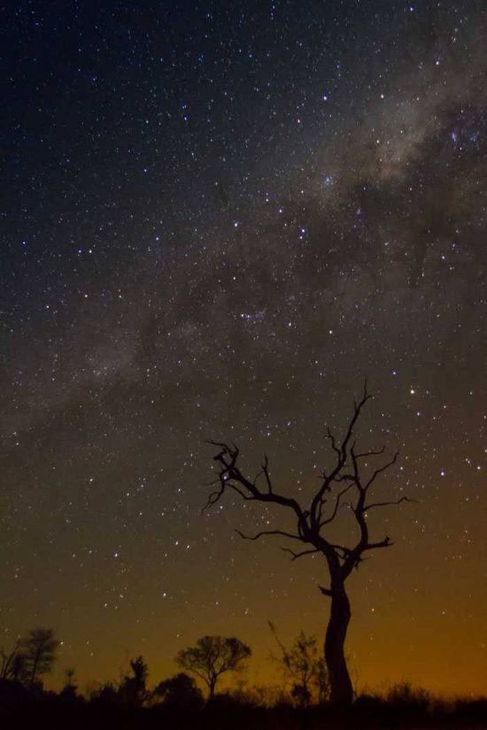 clear night at londolozi