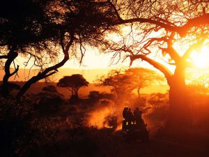 An Africa sunset in Tarangire National Park