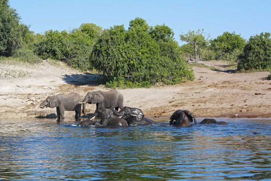 Chobe Game Lodge 