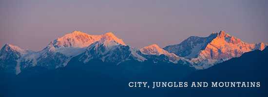 City,-Jungles-and-Mountains