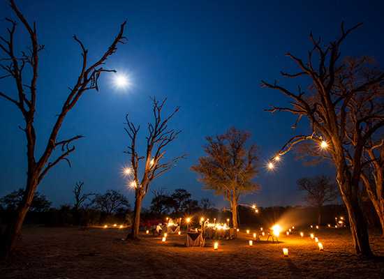 Londolozi | Conde Nast Readers' Choice Awards