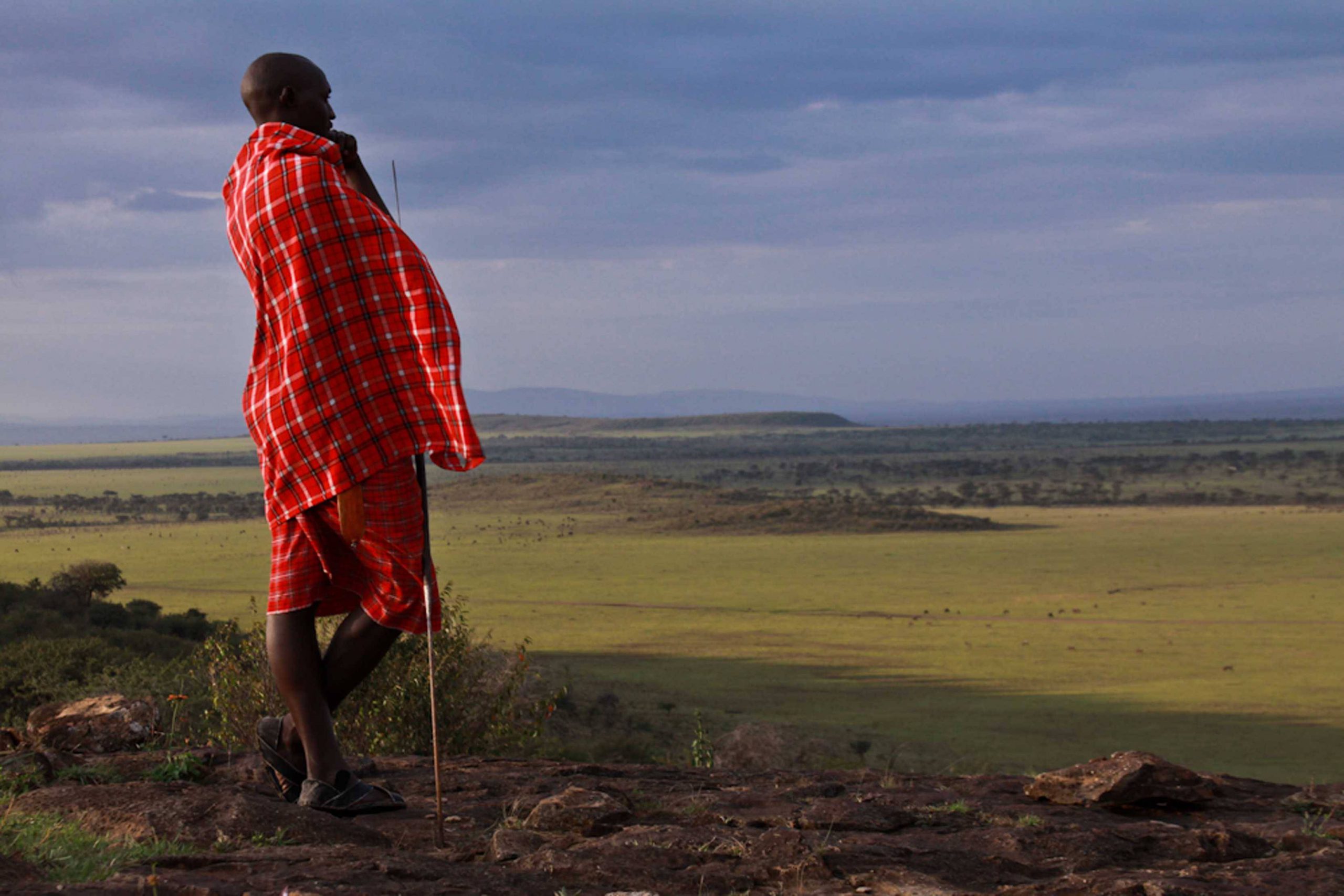 Guerreiro Masai observa planícies