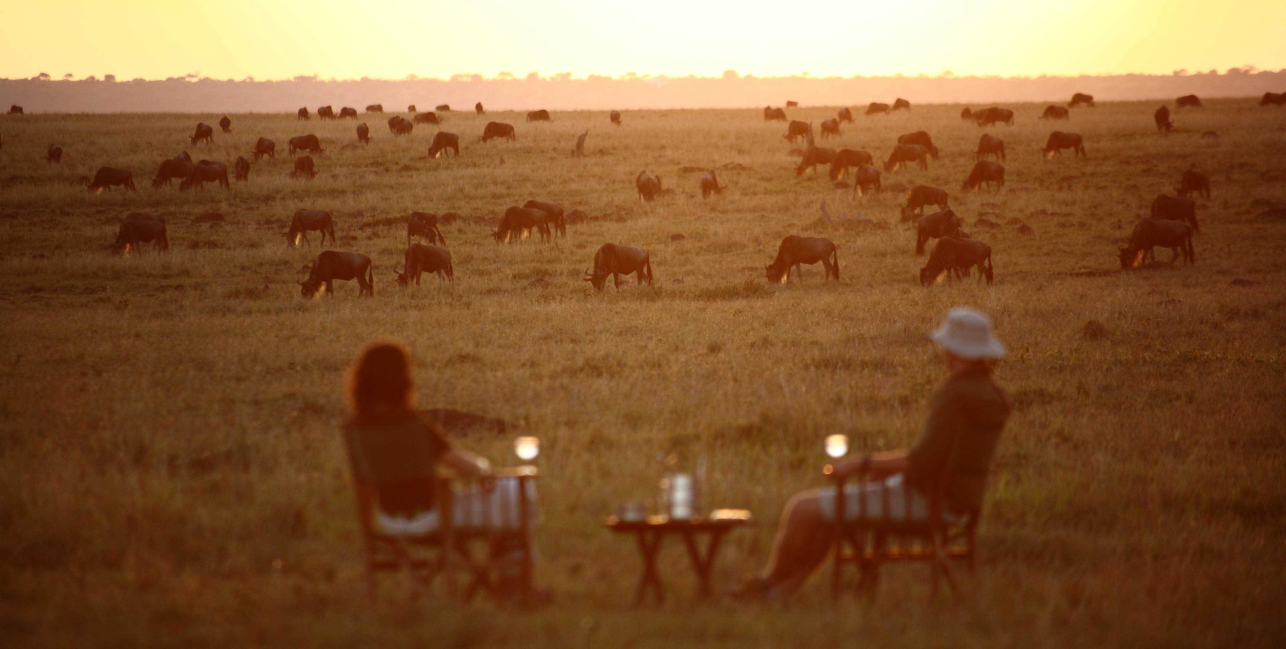 Sundowners in the Serengeti