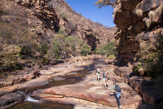 Marataba trails hike