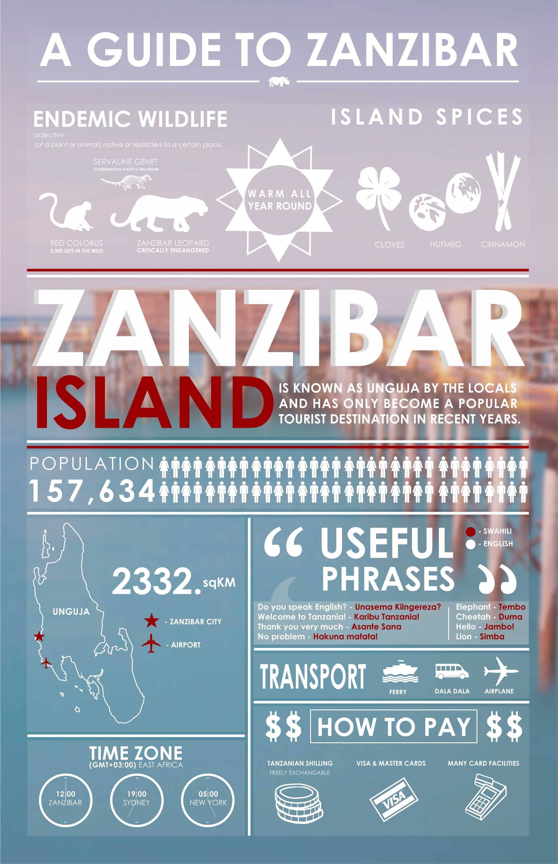 zanzibar tourism statistics 2019
