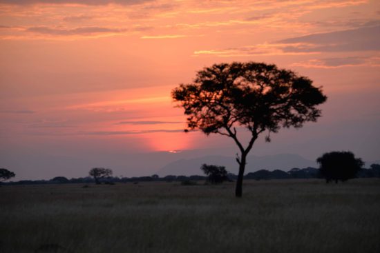 A sunset at Grumeti Tented Camp